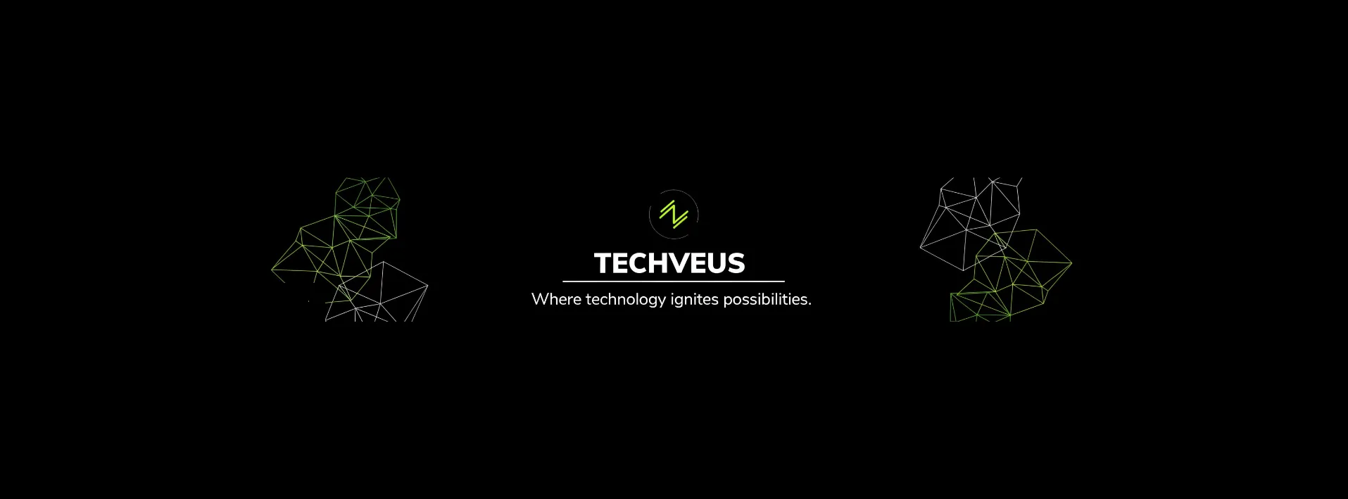 Techveus - Where Technology Ignites Possibilities